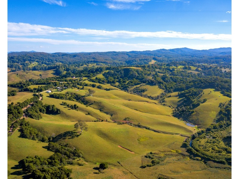 54 Beech Road, Elands NSW 2429