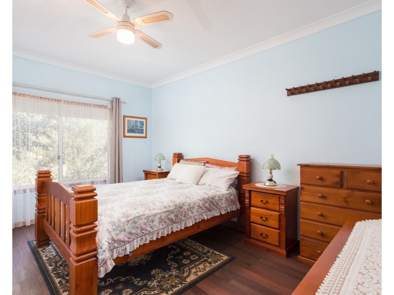 54 Beech Road, Elands NSW 2429