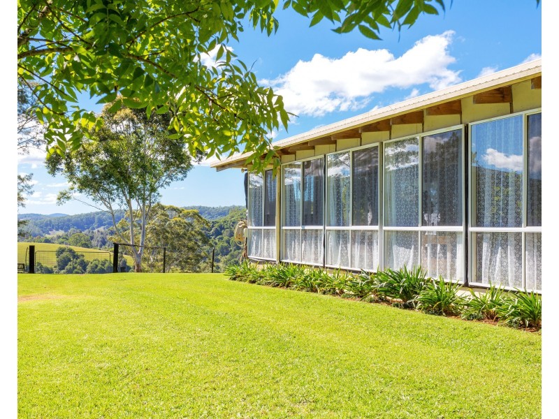 54 Beech Road, Elands NSW 2429