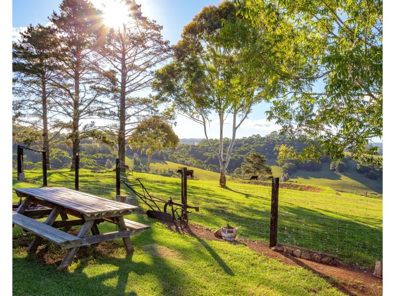 54 Beech Road, Elands NSW 2429