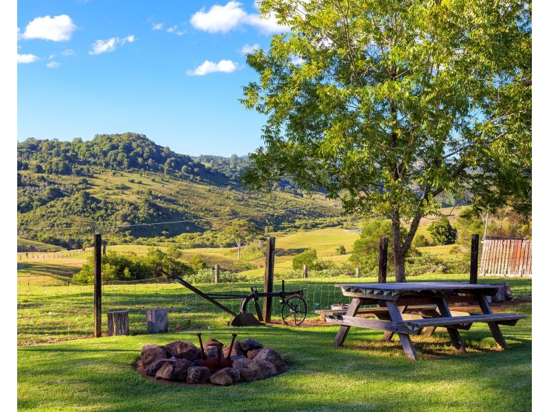 54 Beech Road, Elands NSW 2429