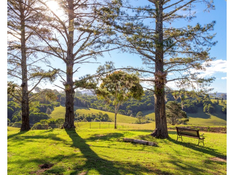 54 Beech Road, Elands NSW 2429