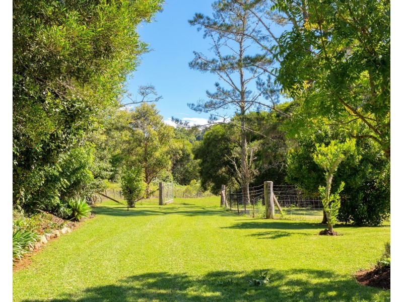 54 Beech Road, Elands NSW 2429