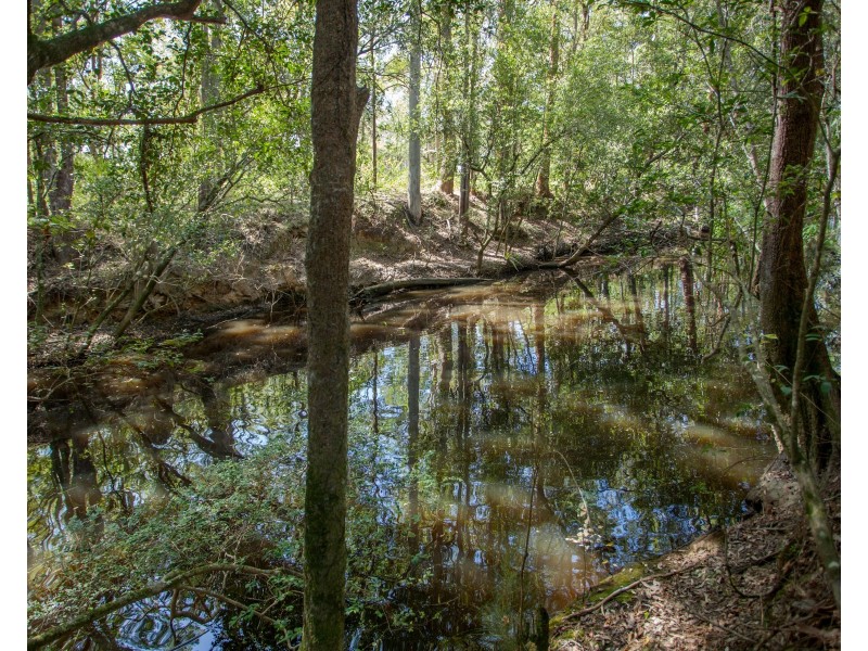 1 Mill Street, Lansdowne NSW 2430