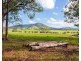 423 Comboyne Road, Wingham NSW 2429