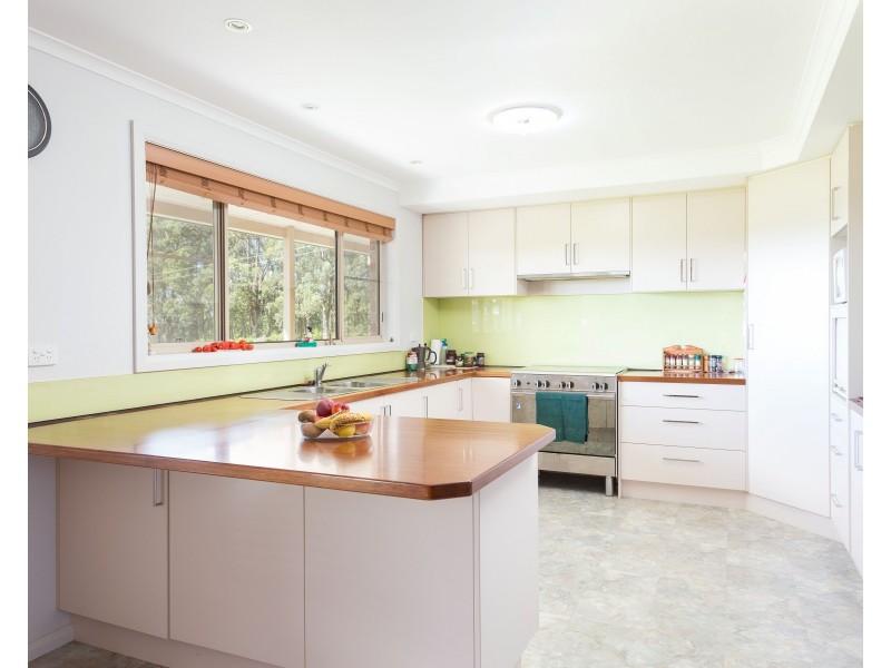 423 Comboyne Road, Wingham NSW 2429