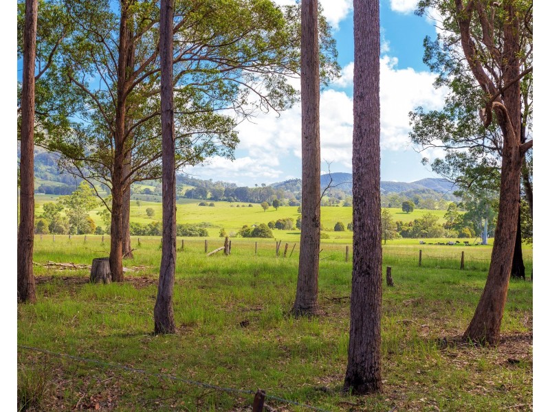 423 Comboyne Road, Wingham NSW 2429