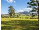 423 Comboyne Road, Wingham NSW 2429