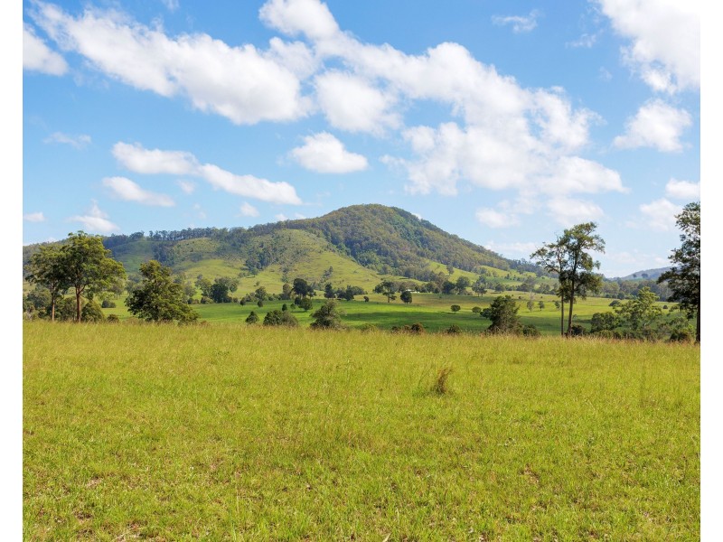 423 Comboyne Road, Wingham NSW 2429