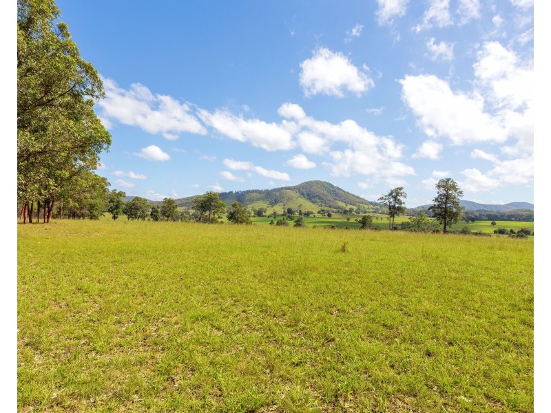 423 Comboyne Road, Wingham NSW 2429