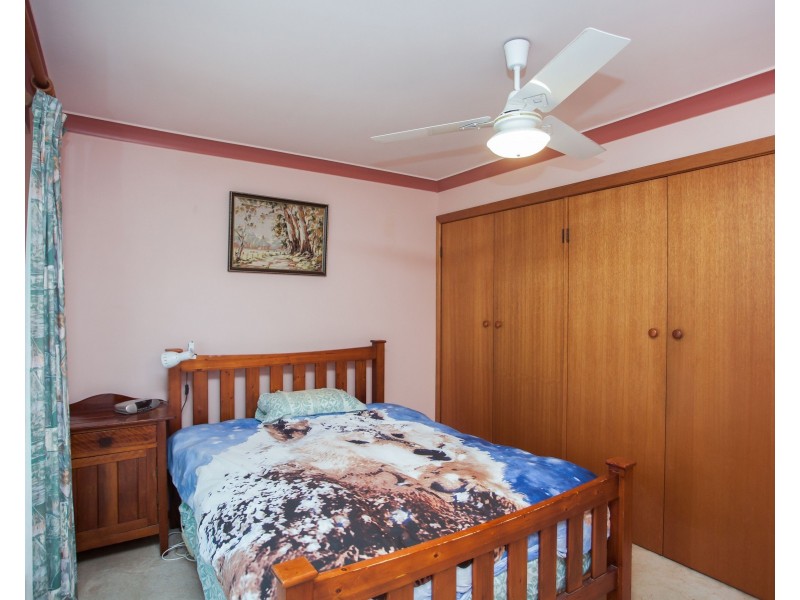 19 Gollan Street, Wingham NSW 2429