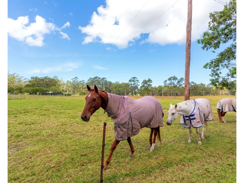 351 Half Chain Road Koorainghat via, Taree NSW 2430