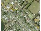 47 Main Street, Cundletown NSW 2430