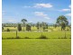 125 Shorts Road, Wingham NSW 2429