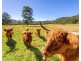 ‘Kurramore’ 64 Millers Road, Bobin NSW 2429