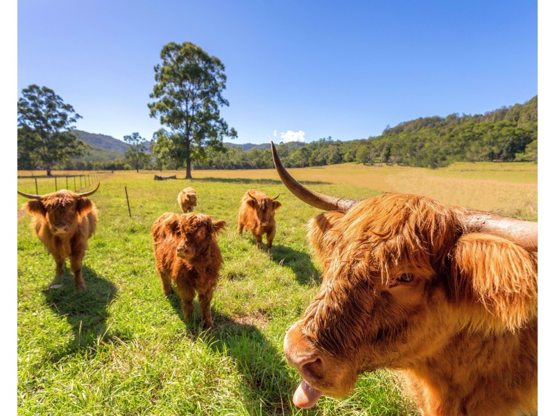 ‘Kurramore’ 64 Millers Road, Bobin NSW 2429