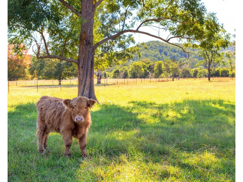 ‘Kurramore’ 64 Millers Road, Bobin NSW 2429