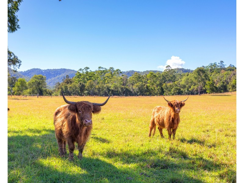 ‘Kurramore’ 64 Millers Road, Bobin NSW 2429