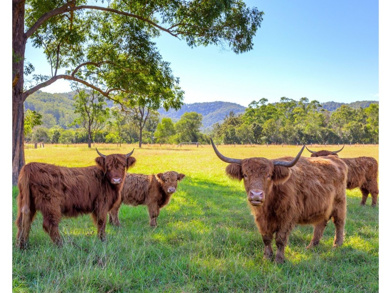 ‘Kurramore’ 64 Millers Road, Bobin NSW 2429