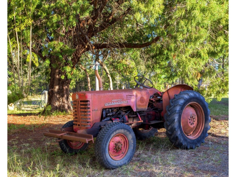 423 Cedar Party Road, Wingham NSW 2429