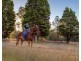 423 Cedar Party Road, Wingham NSW 2429