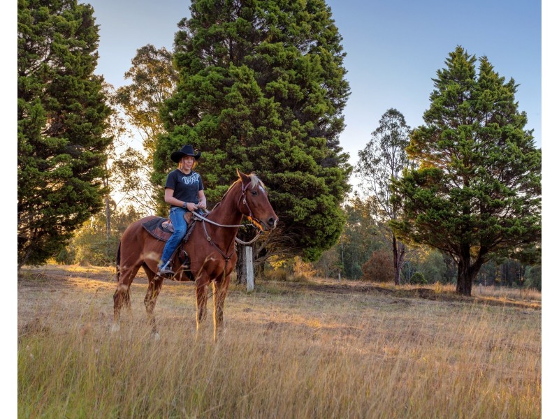 423 Cedar Party Road, Wingham NSW 2429