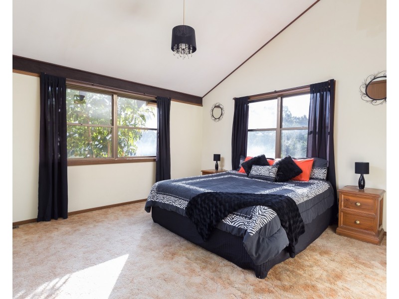 423 Cedar Party Road, Wingham NSW 2429