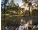 423 Cedar Party Road, Wingham NSW 2429