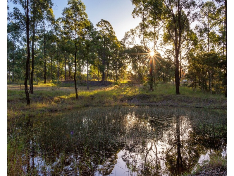 423 Cedar Party Road, Wingham NSW 2429