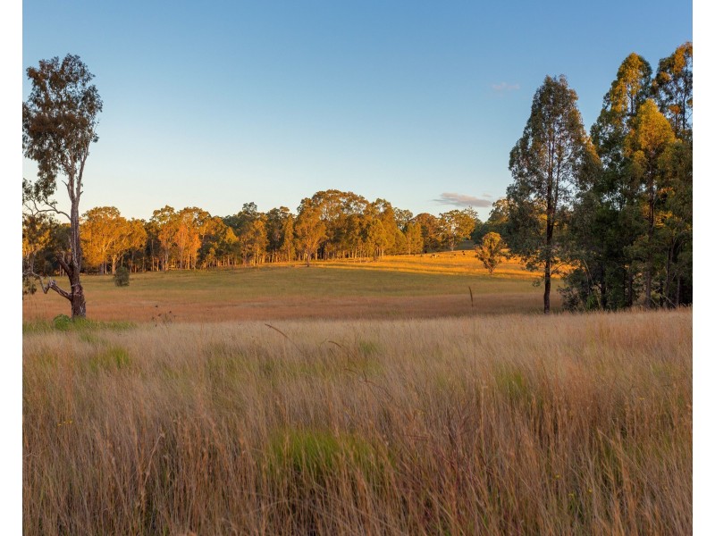 423 Cedar Party Road, Wingham NSW 2429