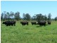 Dumaresq Island NSW 2430