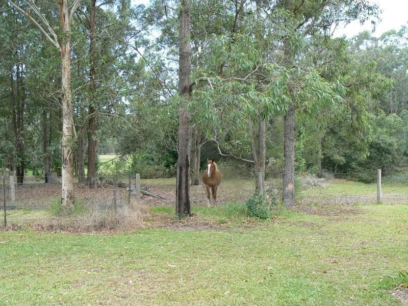 Taree NSW 2430