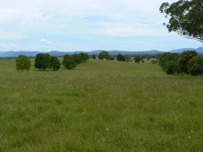 Mitchells Island NSW 2430