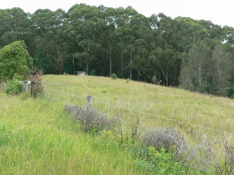 Mitchells Island NSW 2430