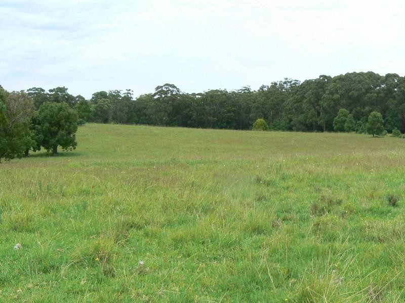 Mitchells Island NSW 2430