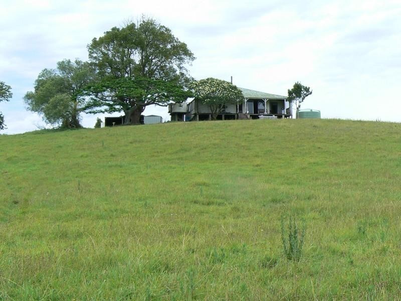 Mitchells Island NSW 2430