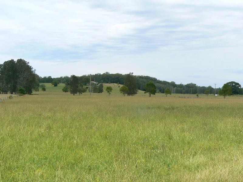 Mitchells Island NSW 2430