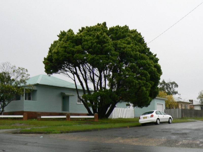 Taree NSW 2430