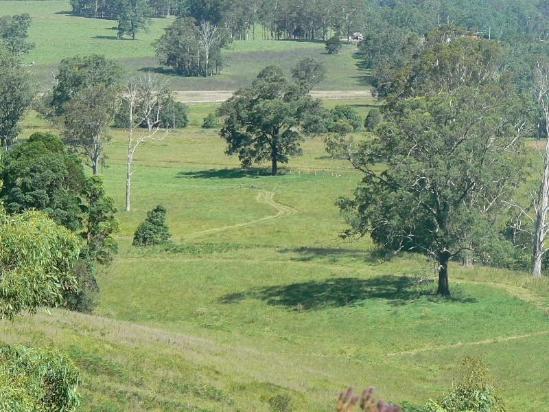Strathcedar NSW 2429