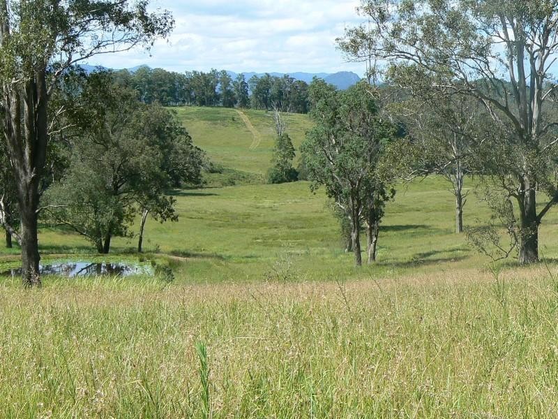 Strathcedar NSW 2429