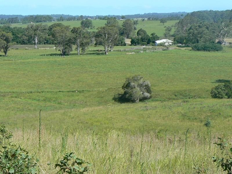 Strathcedar NSW 2429