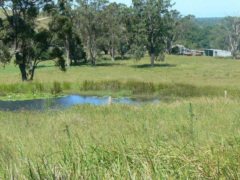 Strathcedar NSW 2429