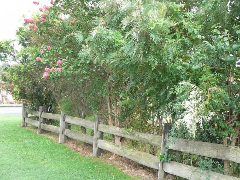Wingham NSW 2429