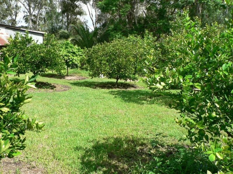 Wingham NSW 2429