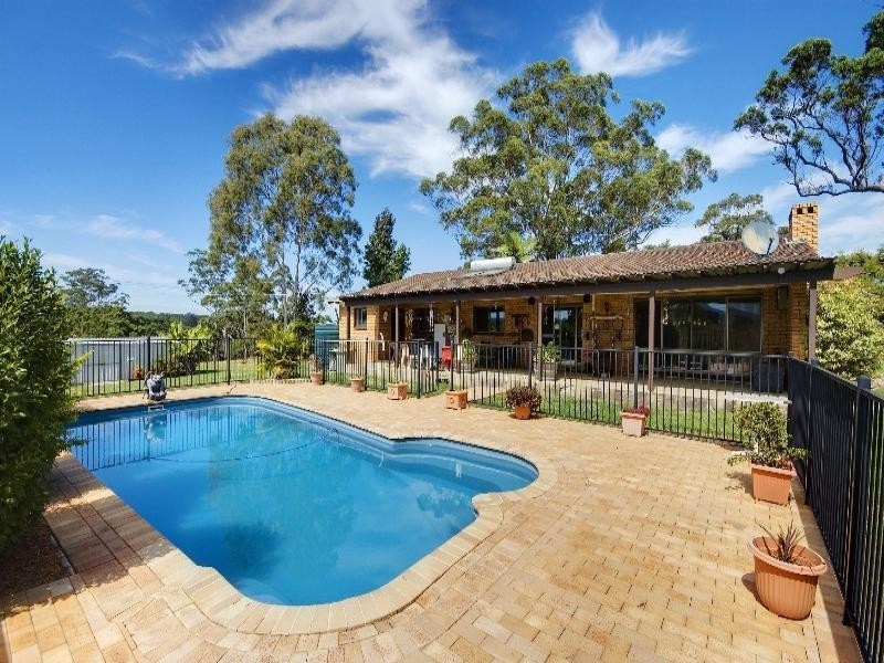 Cedar Party NSW 2429