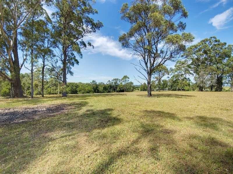 Cedar Party NSW 2429