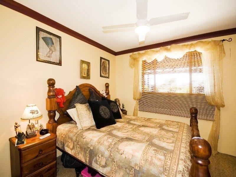 Cedar Party NSW 2429