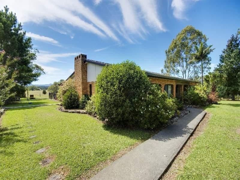 Cedar Party NSW 2429