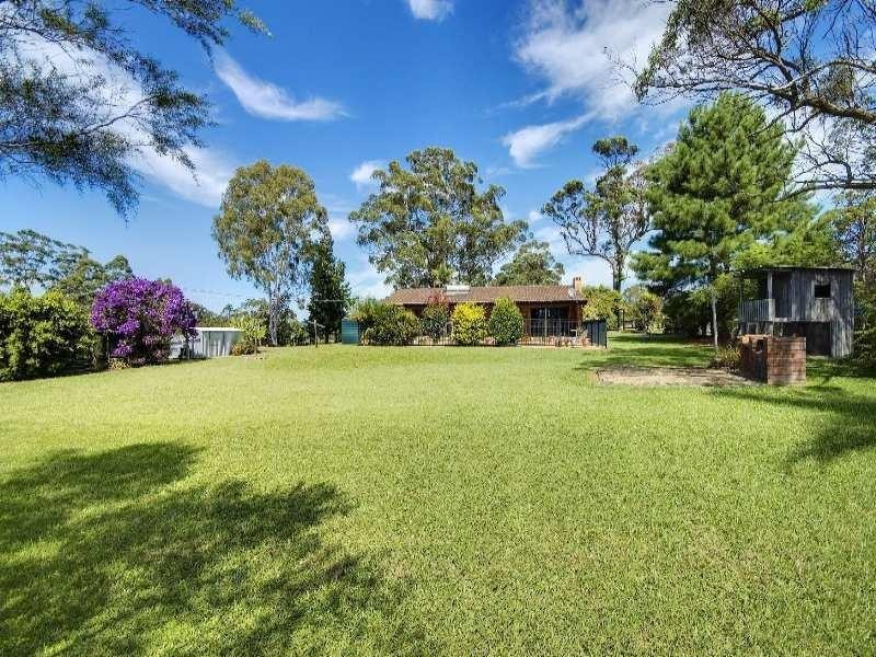 Cedar Party NSW 2429