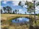 Cedar Party NSW 2429